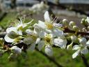 dsc00927.jpg