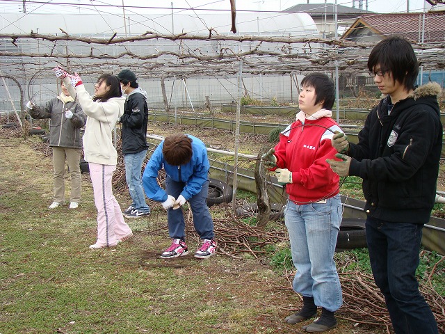dsc00863.jpg